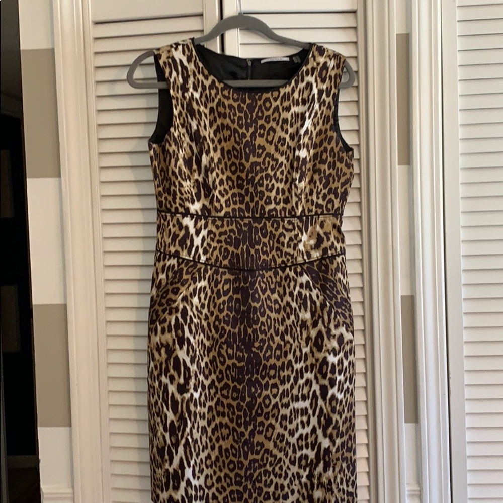 Leopard fab dress! Pockets!!!